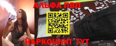 спиды Кингисепп