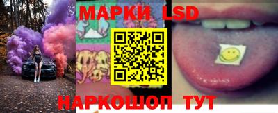 спиды Кингисепп