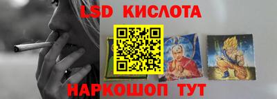 спиды Кингисепп