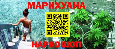 спиды Кингисепп