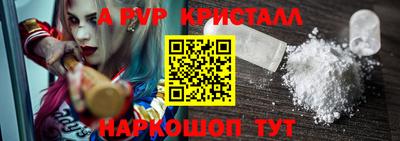 спиды Кингисепп