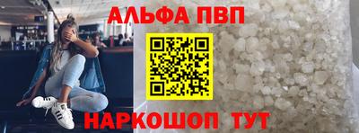 спиды Кингисепп