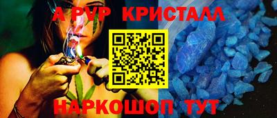 спиды Кингисепп