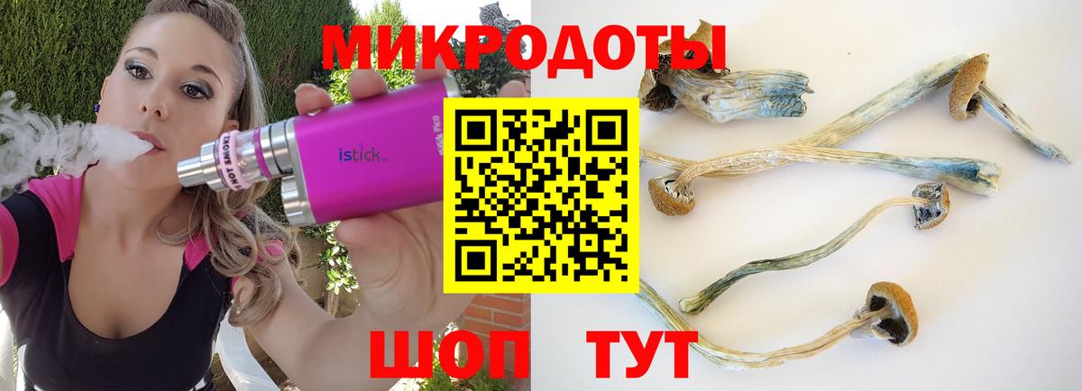 Краснодар  Псилоцибиновые грибы мухоморы  как найти наркотики  Вход с VPN 